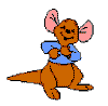 roo05.gif (1384 bytes)